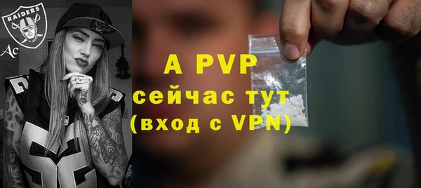 ALPHA PVP Инта