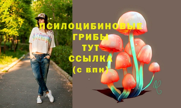 эйфоретик Инсар