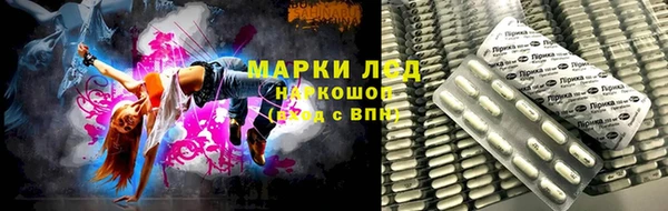 эйфоретик Инсар