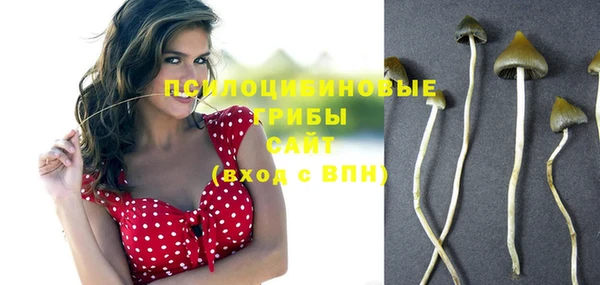 эйфоретик Инсар