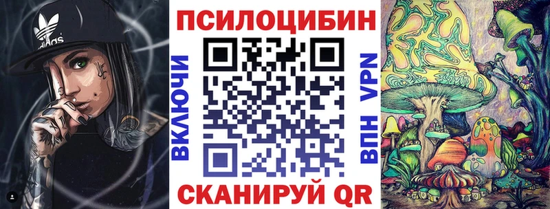 Купить где  Лысьва  Псилоцибиновые грибы GOLDEN TEACHER 